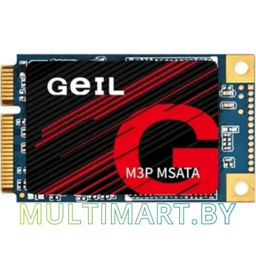 SSD диск GeIL M3P 1TB (M3PFD09I1TBA)